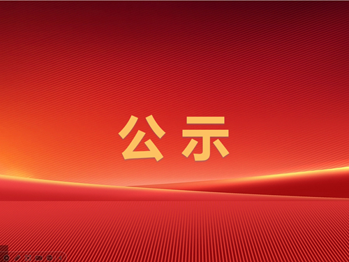 辰龍集團東大煤礦2025年度較大及以上安全風險管控清單